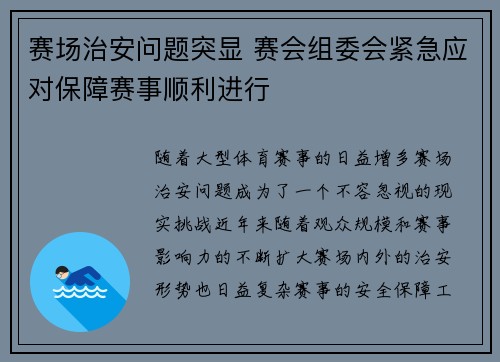 赛场治安问题突显 赛会组委会紧急应对保障赛事顺利进行
